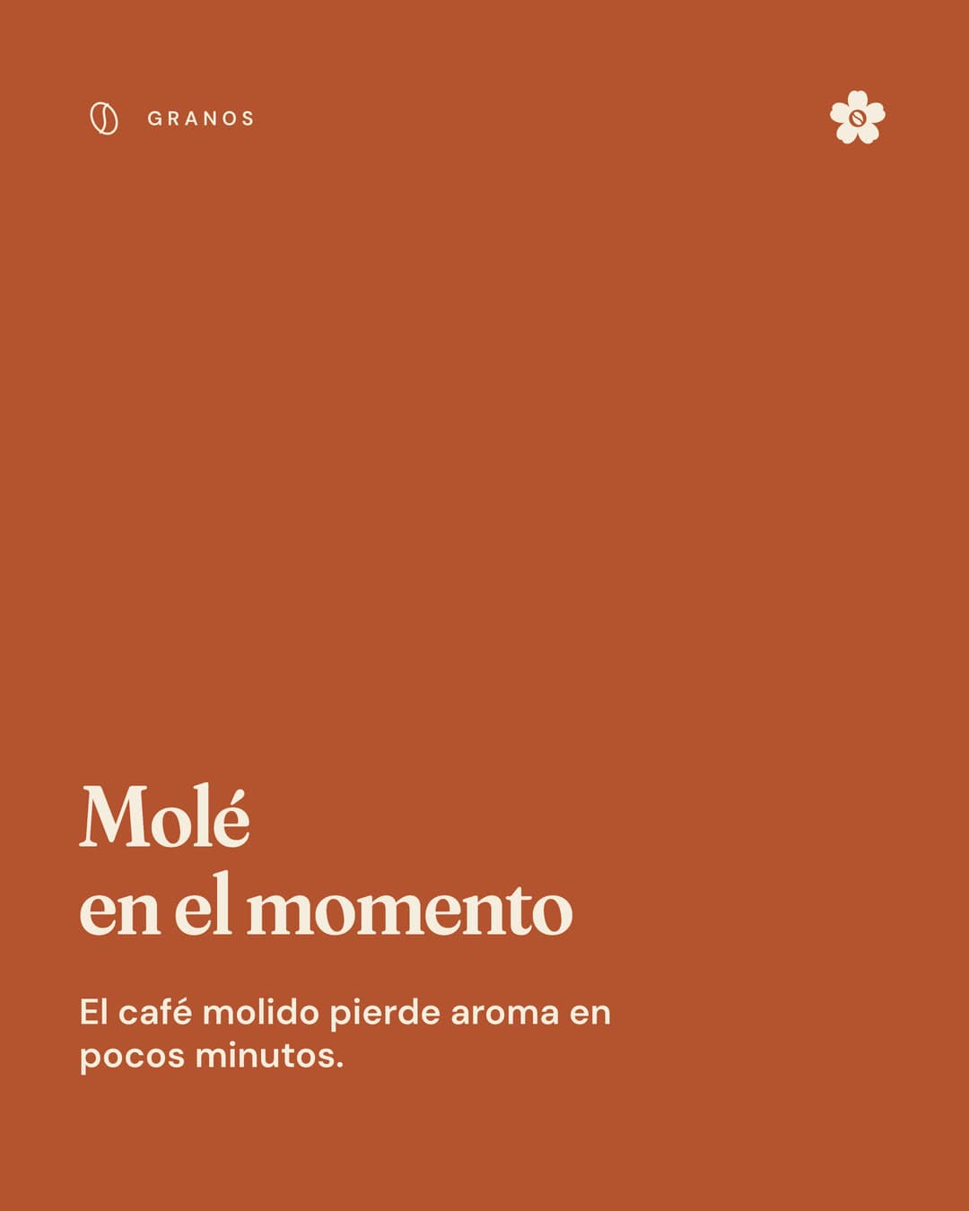 Lámina 2: Molé en el momento
