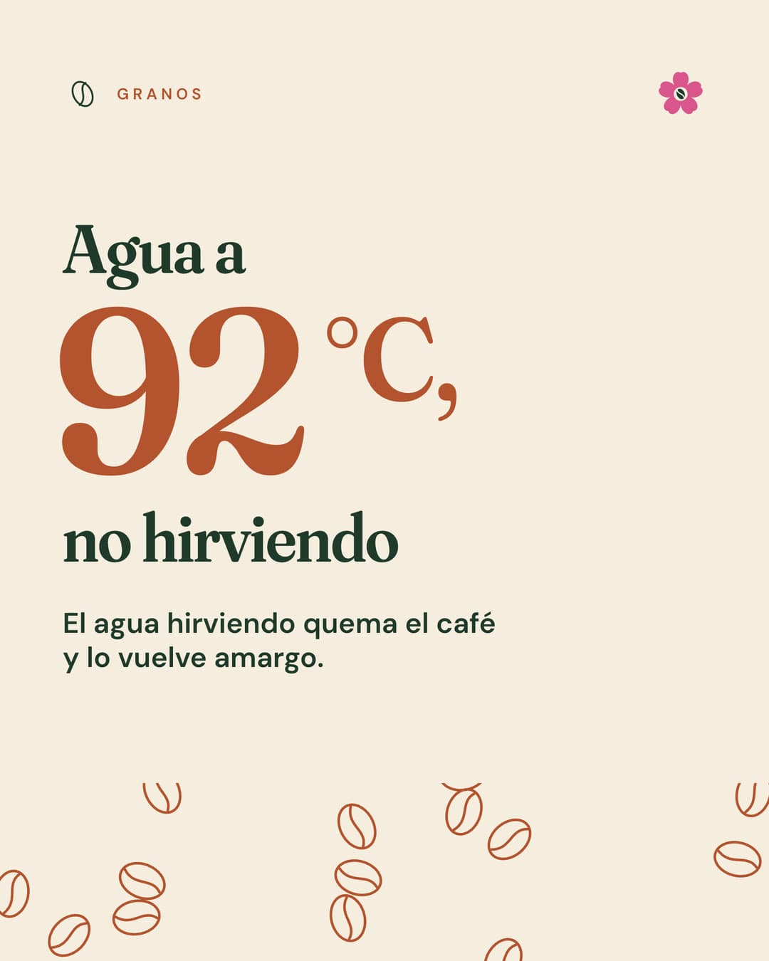Lámina 3: Agua a 92 °C, no hirviendo