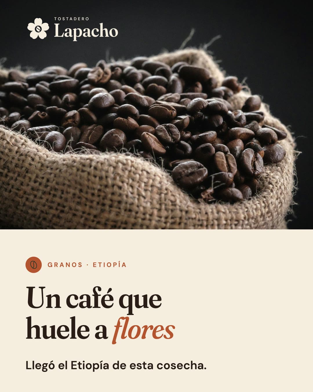 Post de Granos con foto de café en una bolsa de arpillera: Un café que huele a flores