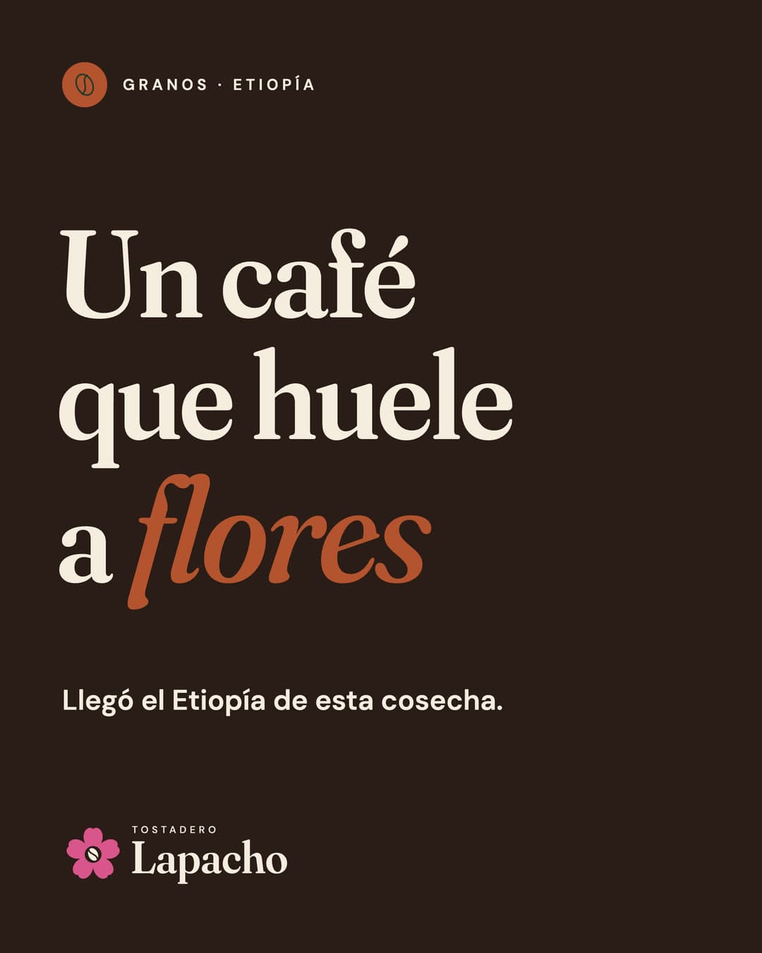 Post tipográfico de Granos sobre fondo tueste: Un café que huele a flores